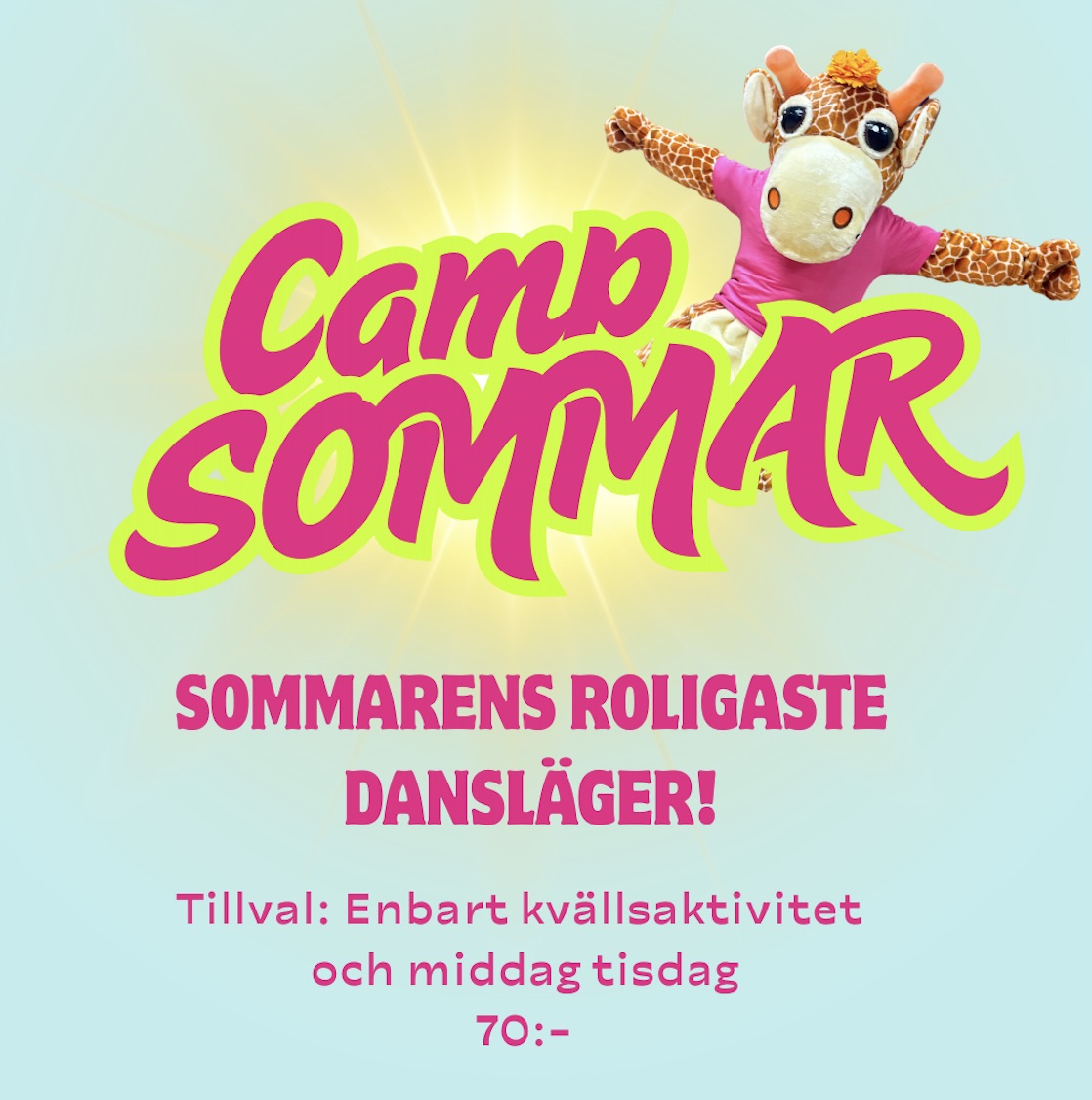 Tillval: Enbart kvällsaktivitet och middag tisdag, 70:-