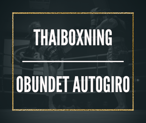 Medlemskapet har ingen bindningstid och innefattar 2 månaders uppsägningstid. Detta medlemskap gäller enbart för thaiboxning. Vänligen fyll i dina tidigare erfarenheter av thaiboxning i anteckningsrutan i samband med att du tecknar medlemskapet.