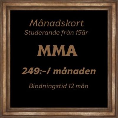 Med detta medlemskap är välkommen på våra MMA pass