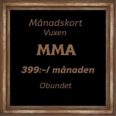 Med detta medlemskap är välkommen på våra MMA pass