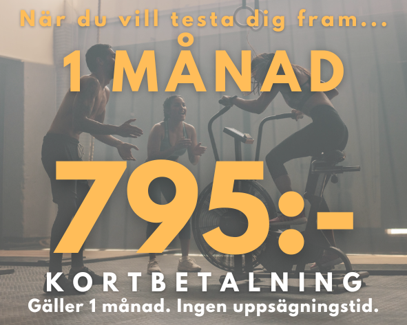 UPC GULD 1 MÅN ger full access till vårt gym och alla gruppträningspass under en månad.

En månads bindningstid. Ingen uppsägningstid. Kortet går ej att frysa.