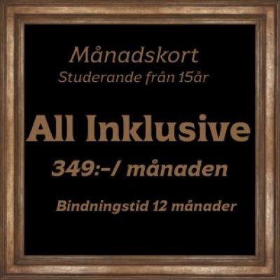 Med detta medlemskap har du tillgång till samtliga träningspass. 