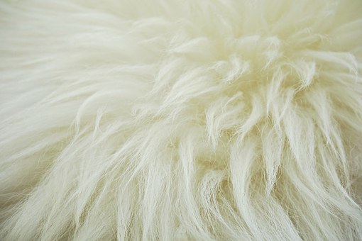 Ekologiskt garvade lamm-skinn  Storlek XL fris från krom
