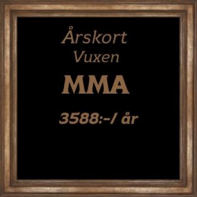 Med detta medlemskap är välkommen på våra MMA pass