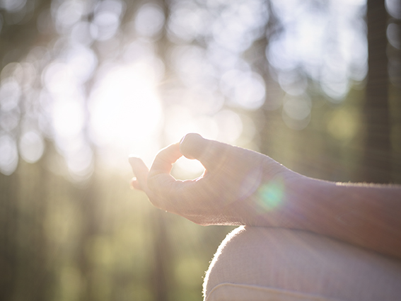 Efter köpet loggar du in och bokar in dig på kursen i schemat. 

Det finns en mängd olika meditationer man kan välja att jobba med beroende på vad ens behov är, vad man söker.

Att få kontakt med sitt innersta väsen är a och o! Här kan vi släppa all den spänning och de vardagsbekymmer vi annars fyller våra tankar med, och här fyller vi på med den energin vi behöver. Regelbunden meditation gör att inspirationen, kreativiteten, väl måendet och livsglädjen ökar. Fysiska krämpor mildras m.m.

Förutom i denna grupp så ingår alltid meditation i Kundaliniyoga, Medicinsk Kundaliniyoga och MediYoga i ca 7-15 min som avslutning på passet. Även flera av de andra yogagrupperna avslutas med en stunds meditation.

 Denna kursen är 8 veckor