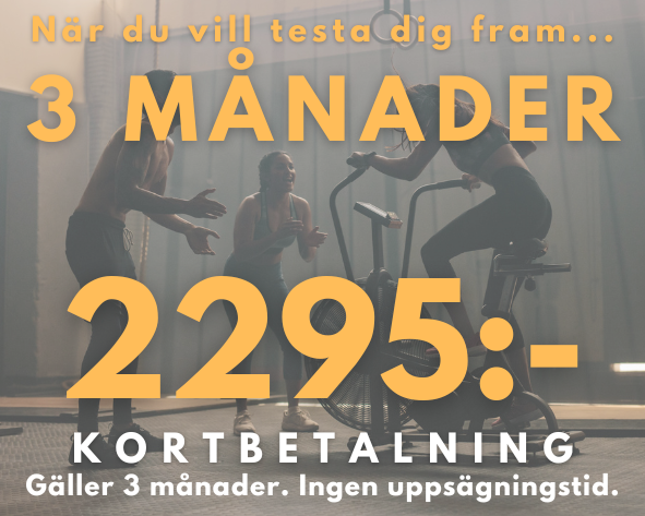 UPC GULD 3 MÅN ger full access till vårt gym och alla gruppträningspass under tre månader.

Tre månaders bindningstid. Ingen uppsägningstid. Kortet går ej att frysa.