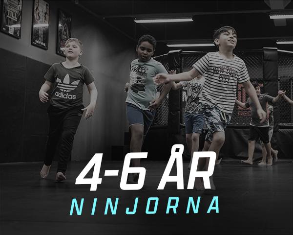 Autogiro
Barnkort - allt eftersom barnen blir äldre ändras korten utifrån barnens ålder. Priset för kortet ändras i takt med rådande prislista för åldersintervallet.

- 12 månader bindningstid
- 1 kalendermånads uppsägningstid
- 1 gång per kalenderår tillkommer 100 kr i medlemsavgift på toppen av träningsavgiften