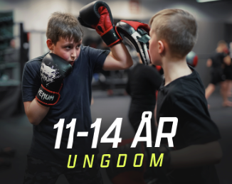Barn och Ungdomskort. Övergår när ungdomen fyllt 15 år till kort för 15-17 och gällande pris för detta kort.

- 12 månader bindningstid
- 1 kalendermånads uppsägningstid
- 1 gång per kalenderår tillkommer 100 kr i medlemsavgift på toppen av träningsavgiften