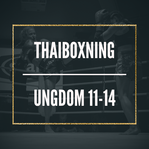 Terminskort Thaiboxning 11-14 år. 
