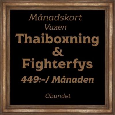 Med detta medlemskap är du välkommen på våra thaiboxnings och fighterfys pass