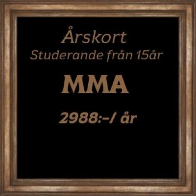 Med detta medlemskap är välkommen på våra MMA pass