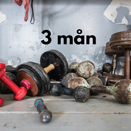 3 månaders medlemskap , startavgift tillkommer.