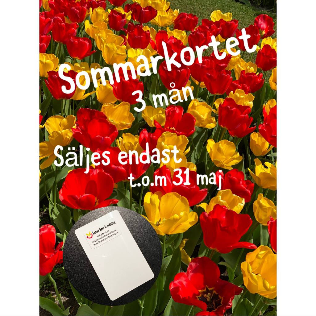 Sommarkort för seniorer i Svenljunga och Holsljunga gäller i 3 månader. Säljes endast mellan 8 april - 31 maj.