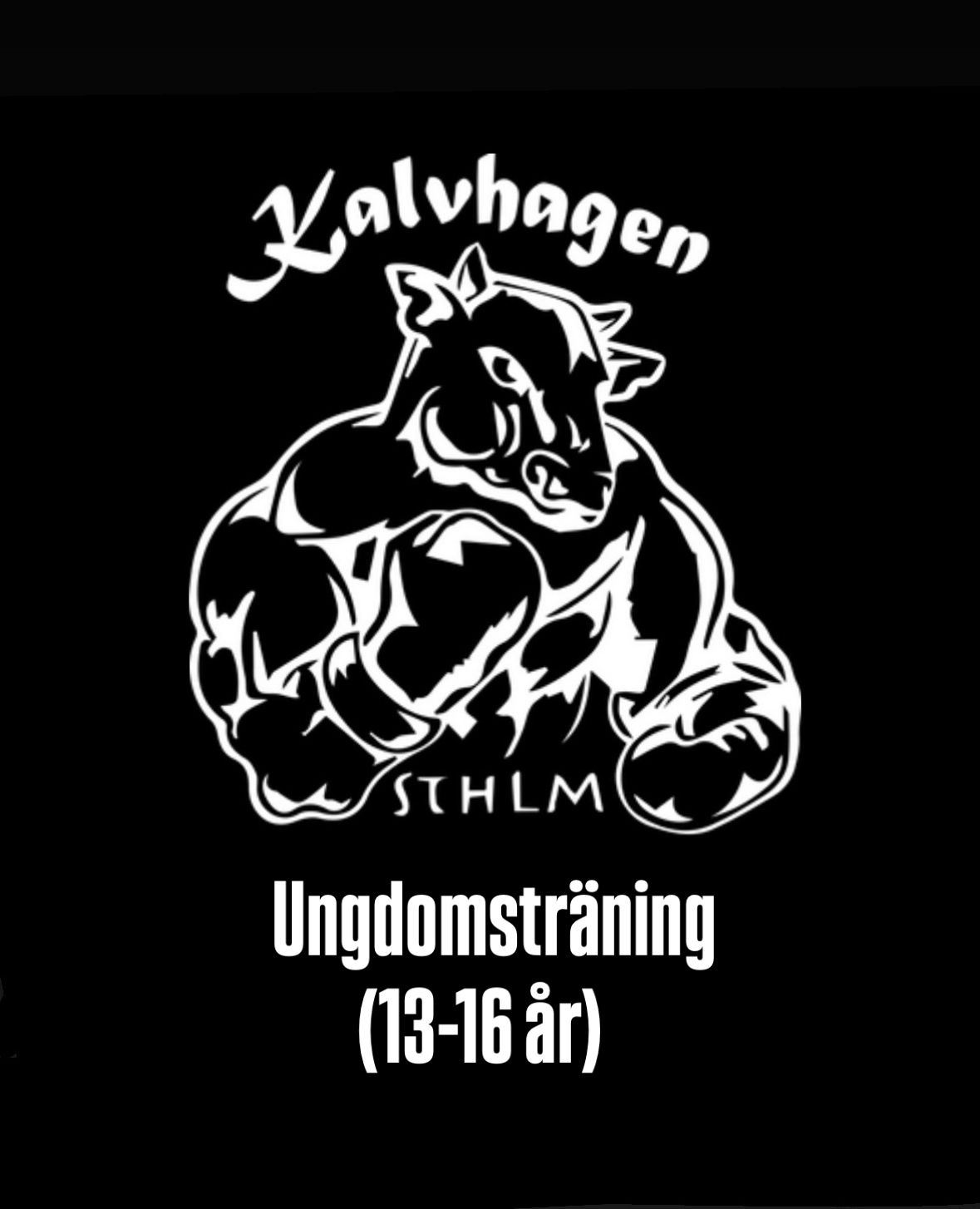 För ungdomar mellan 13-16 år
PRIS: Ordinarie pris 590:-/mån NU 390:-/mån (200:- rabatt). Medlemsavgift om 250:-/halvår tillkommer.

Kickboxningspass som passar alla nivåer. Perfekt övergång för de som kört våra Barn&Juniorpass till de som aldrig tidigare kört.

Tre dagar i veckan är upplägget för medlemskapet för Ungdomar:
Måndagar/onsdagar 16:00-17:00
+ ett valfritt pass (pass som ingår i vårt Basicutbud) i veckan.
Egna skydd behövs och vi har allt i vår shop på plats som ni behöver.