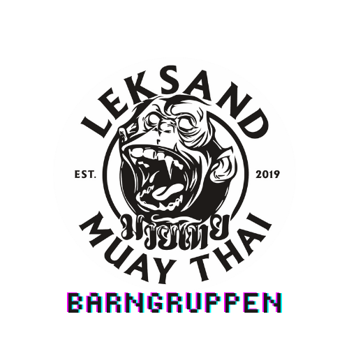 Våra yngsta thaiboxare. Här får barnen lära känna sporten, lokalerna och utrustningen. Barnen tränar grunder och teknik kombinerat med pedagogisk lek. Ålder 6-9.
