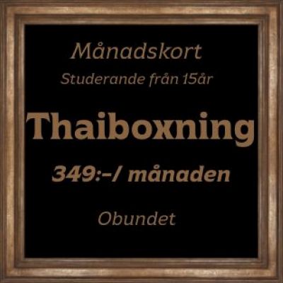 Med detta medlemskap är välkommen på våra Thaiboxnings pass