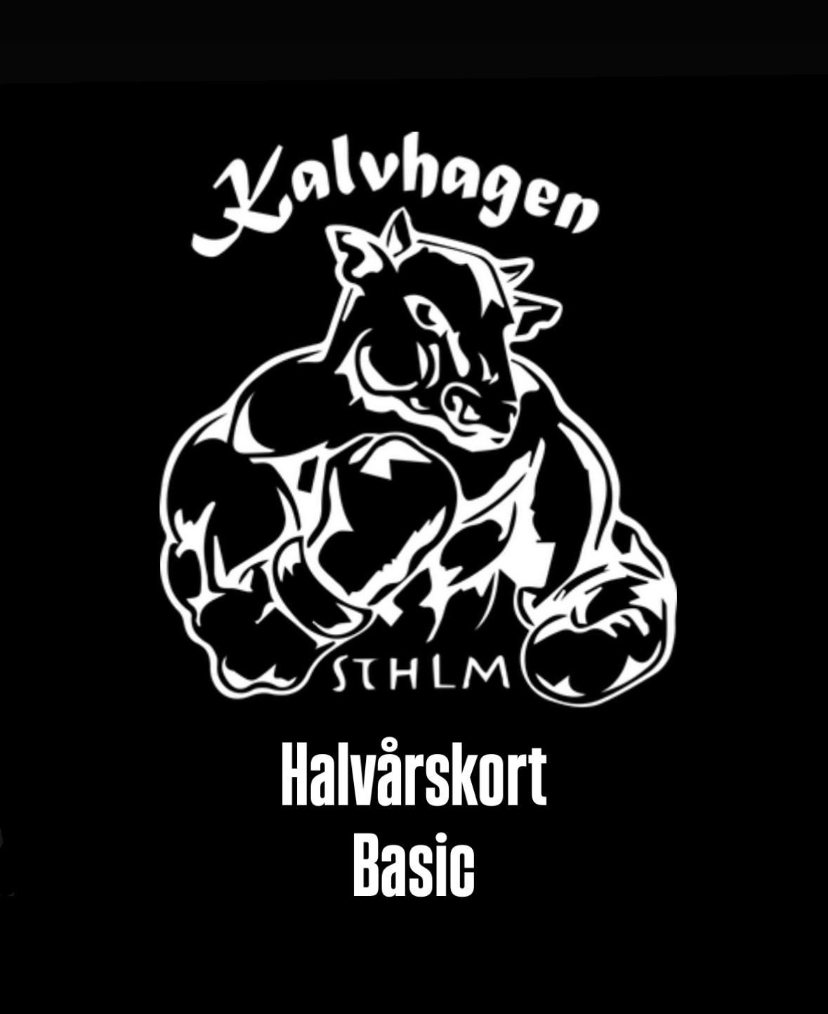 Halvårskort Basic
Med vårt medlemskap BASIC kan du gå på följande pass:
Kickboxning
Ungdomsträning (13-19 år)
Bag n' Box
Bag n' Weights
Bag n' Ass
Core n' Ass 

Du kan boka upp till 10 pass samtidigt, 14 dagar i förväg.

Startavgift om 250:- avser medlemsavgiften för 6 månader
Giltighetstid 6 månader från köpdatum.