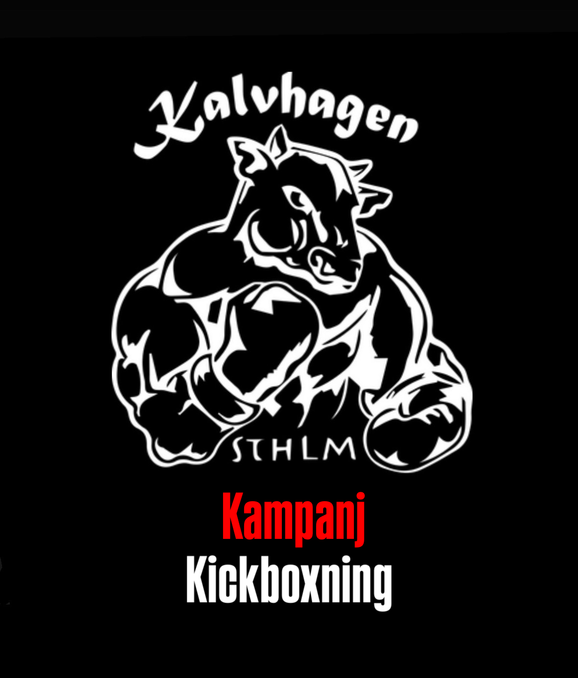 Kampanjpris för dig som endast vill få tillgång till våra Kickboxningspass. i stället för ordinarie pris om 590:-/månaden betalar du 490:-/månaden (studentrabatt).
Utöver ovan nämnda belopp betalar du en medlemsavgift om 250:-/halvår (försäkring ingår).

God hygien råder för alla våra medlemmar, hel och ren + naglar på händer och fötter ska vara klippta och eventuellt filade. Du ska tränar i rena träningskläder.
Välkommen till oss.