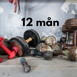 Medlemskap med 12 månaders bindningstid, betalas månadsvis via autogiro.