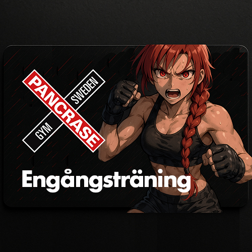 I detta medlemskap ingår alla våra Barnklasser.
Gäller 1 gång inom 2 dagar från köpdatum.