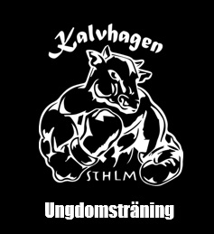Ger dig tillgång till tre instruktörsledda Kampsportsinspirerade pass i veckan.
Måndagar/onsdagar 16:15-17:15 samt ett valfritt pass på ordinarie schema som tillhör Basic-medlemskapet, alltså inte Konceptpass, Heavy Shit samt inte heller Bag n Box tisdagar/lördagar.